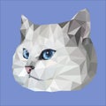 Modern white coby cat icon in low poly style. Trendy animal print on tshirt. Bright cover album notebook banner